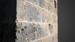 Abandoned Village Surface Scan - Stone Wall 19