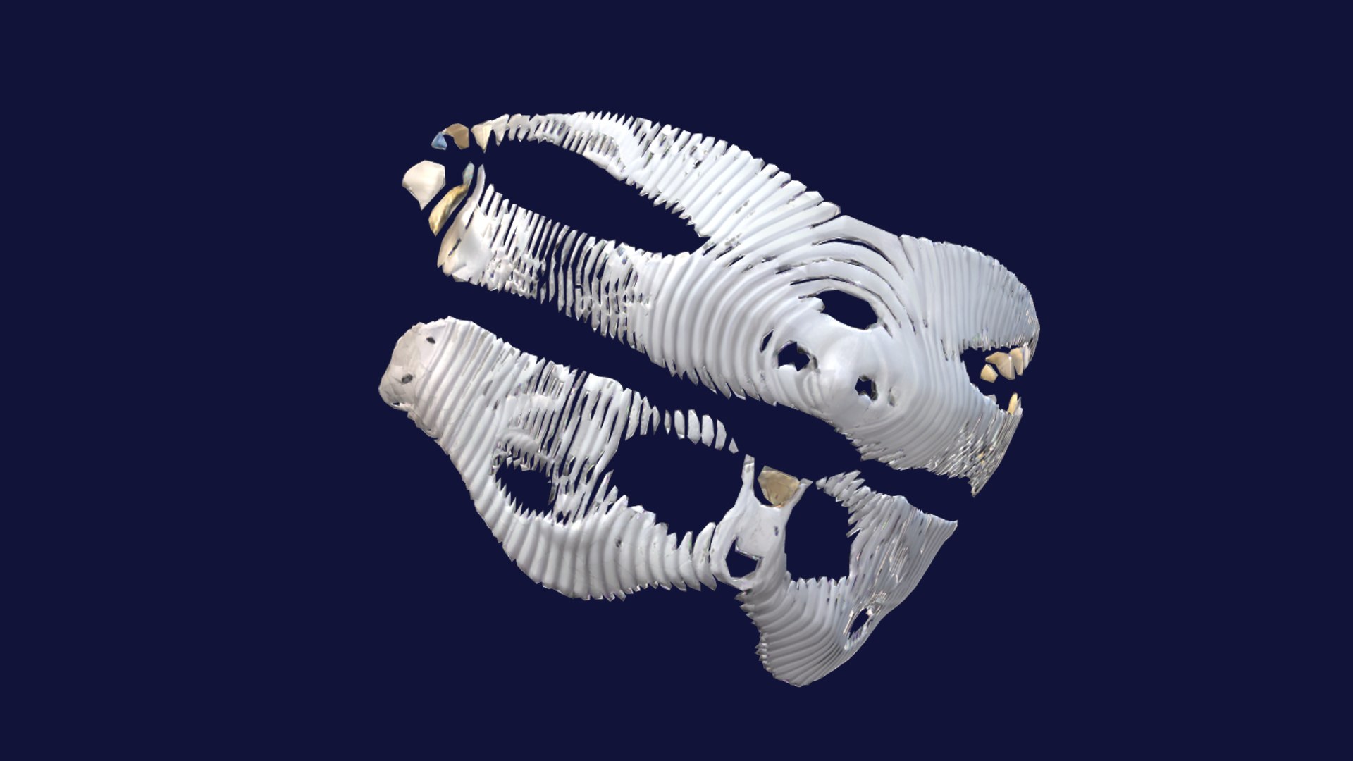 3D Bone Mask Model - TurboSquid 2145857