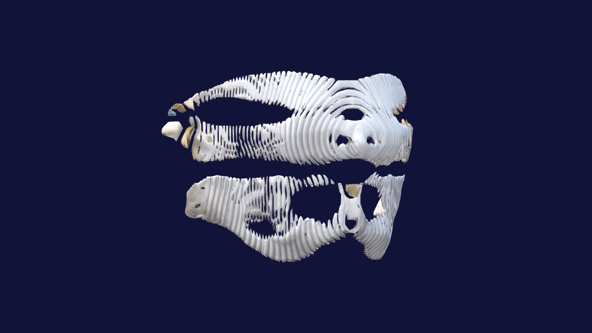 3D Bone Mask Model - TurboSquid 2145857