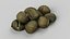 Chestnuts 01
