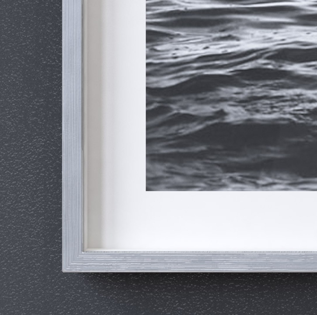 kate open ocean 3D model https://p.turbosquid.com/ts-thumb/2o/QOZ7zu/YUbTNDie/9c/jpg/1588249997/1920x1080/fit_q87/736a00198febe46af0ec7f4176a99ebc9b073a5f/9c.jpg