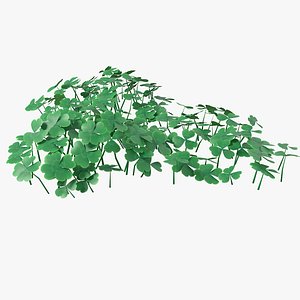 3D Cartoon Clover 11 model