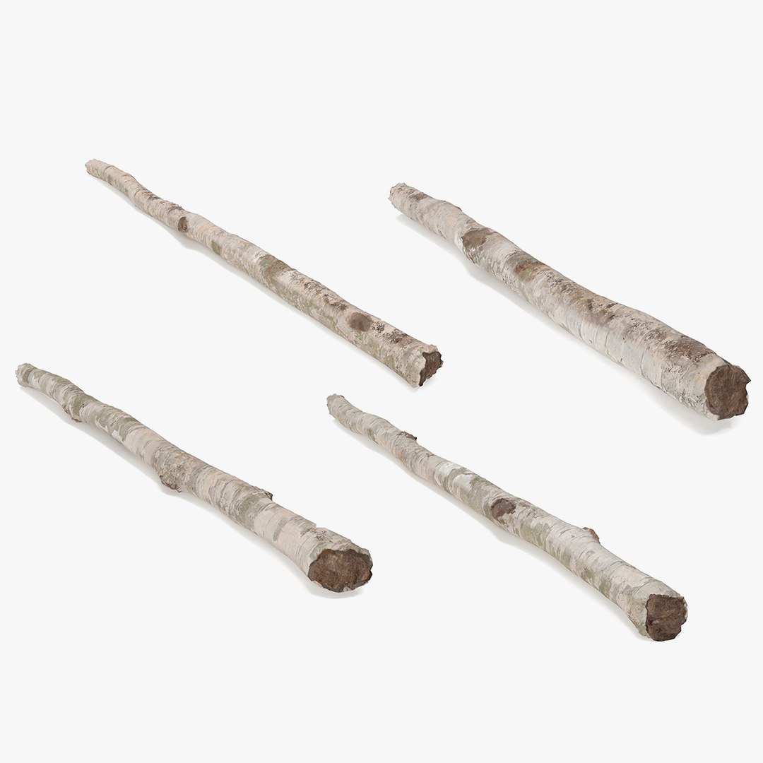 White Birch Poles Set 3D model preview