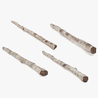 White Birch Poles Set