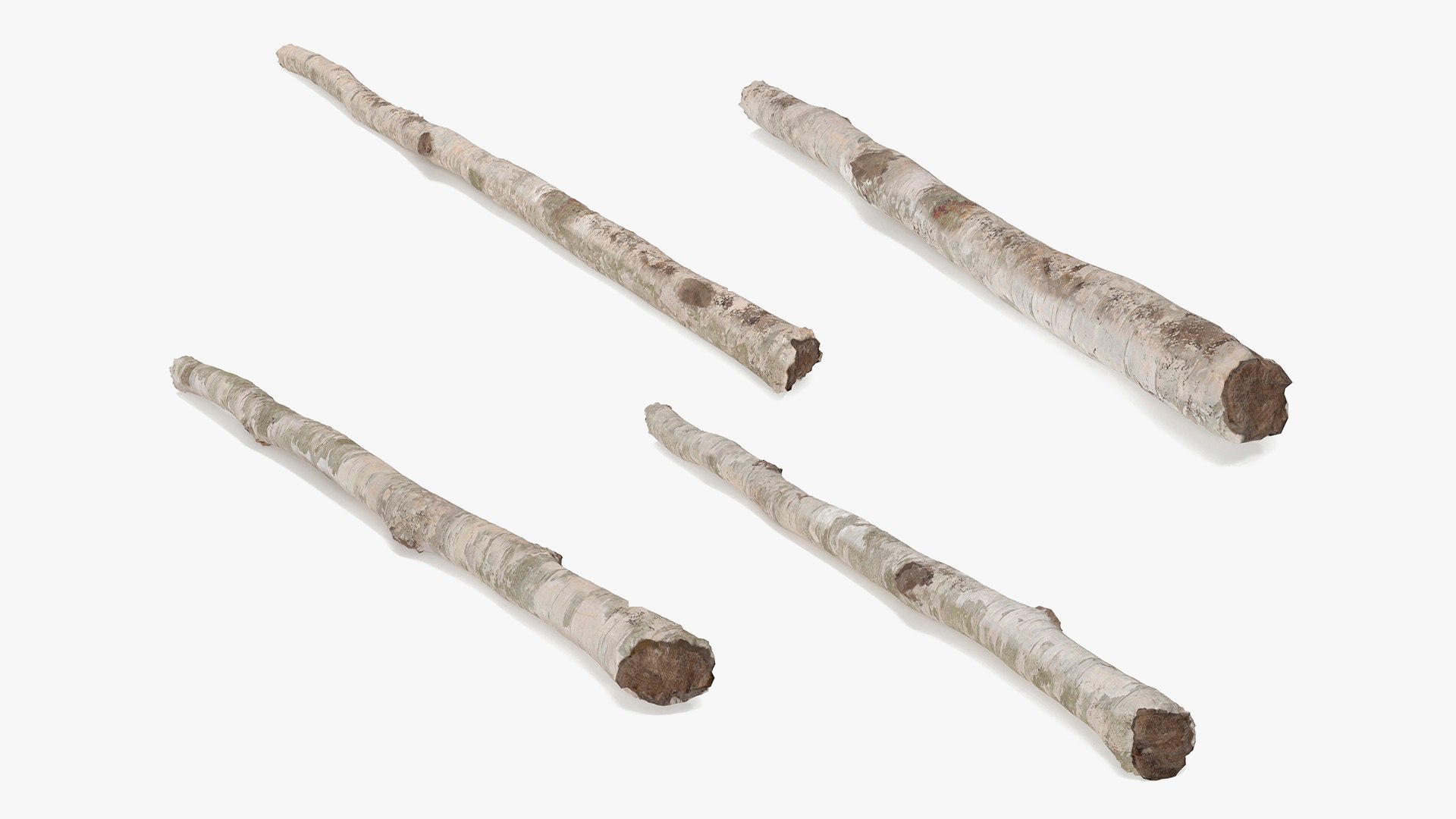 3D White Birch Poles Set https://p.turbosquid.com/ts-thumb/2o/ea5uiW/jj/whitebirchpolessetmb3dmodel002/jpg/1698861769/1920x1080/fit_q87/1b547c8daaebcd70c52cb7f7cd1bde0ffde532ee/whitebirchpolessetmb3dmodel002.jpg