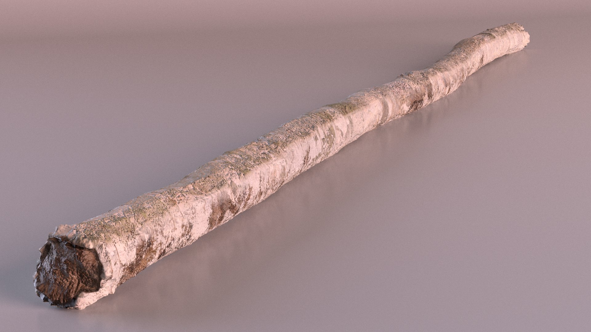 3D White Birch Poles Set https://p.turbosquid.com/ts-thumb/2o/ea5uiW/xs/white_birch_poles_set_012/jpg/1698932088/1920x1080/fit_q87/0fe0b2c586ceae6b6bcb1ca55763f3c82052fa79/white_birch_poles_set_012.jpg