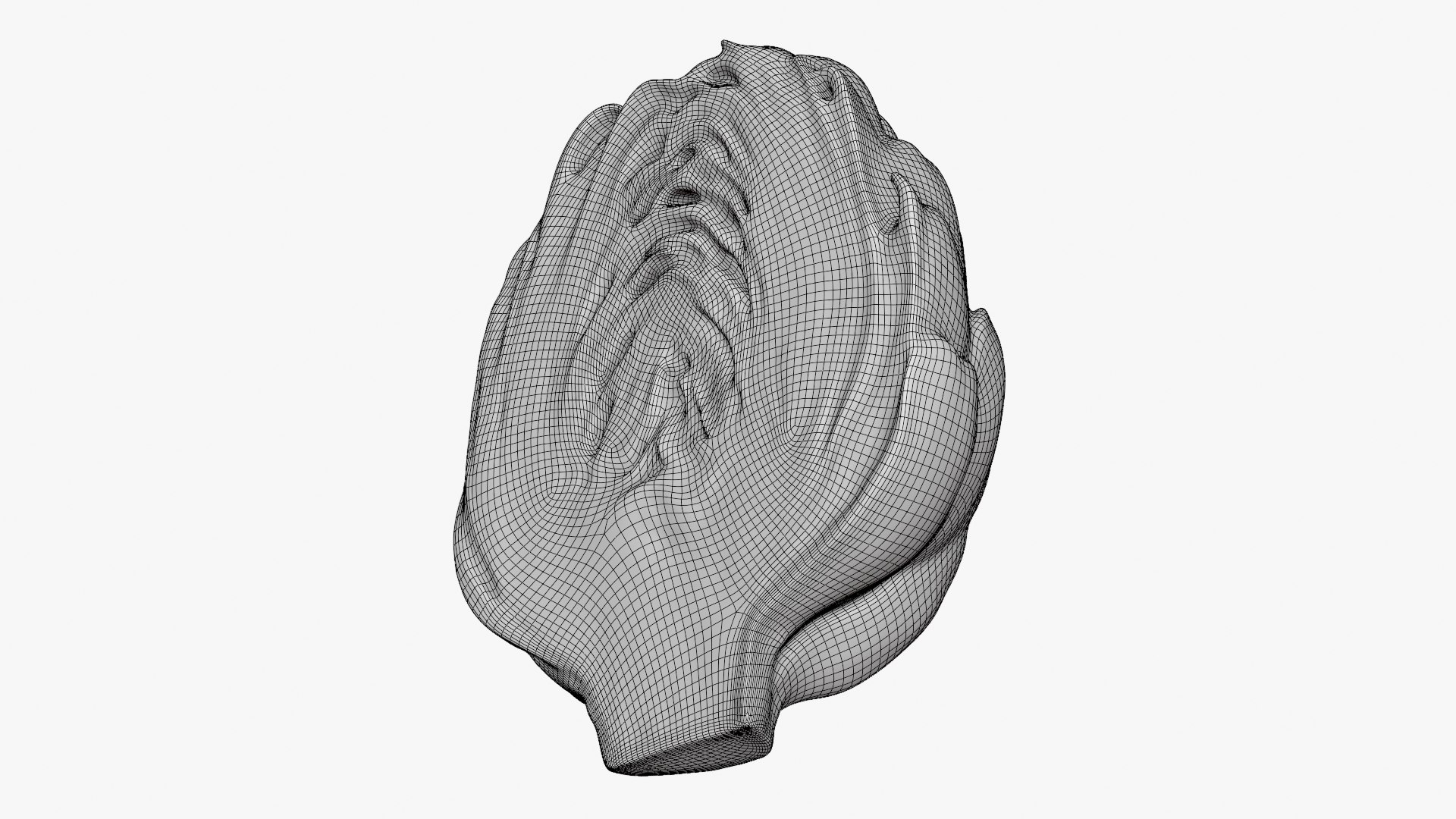 Artichoke Collection 3D model https://p.turbosquid.com/ts-thumb/2o/j9Db4S/2z/artichokehalf_d0002/png/1761114686/1920x1080/fit_q87/2d09dba50bf60272a459f3f6dcf41e5d6461f707/artichokehalf_d0002.jpg