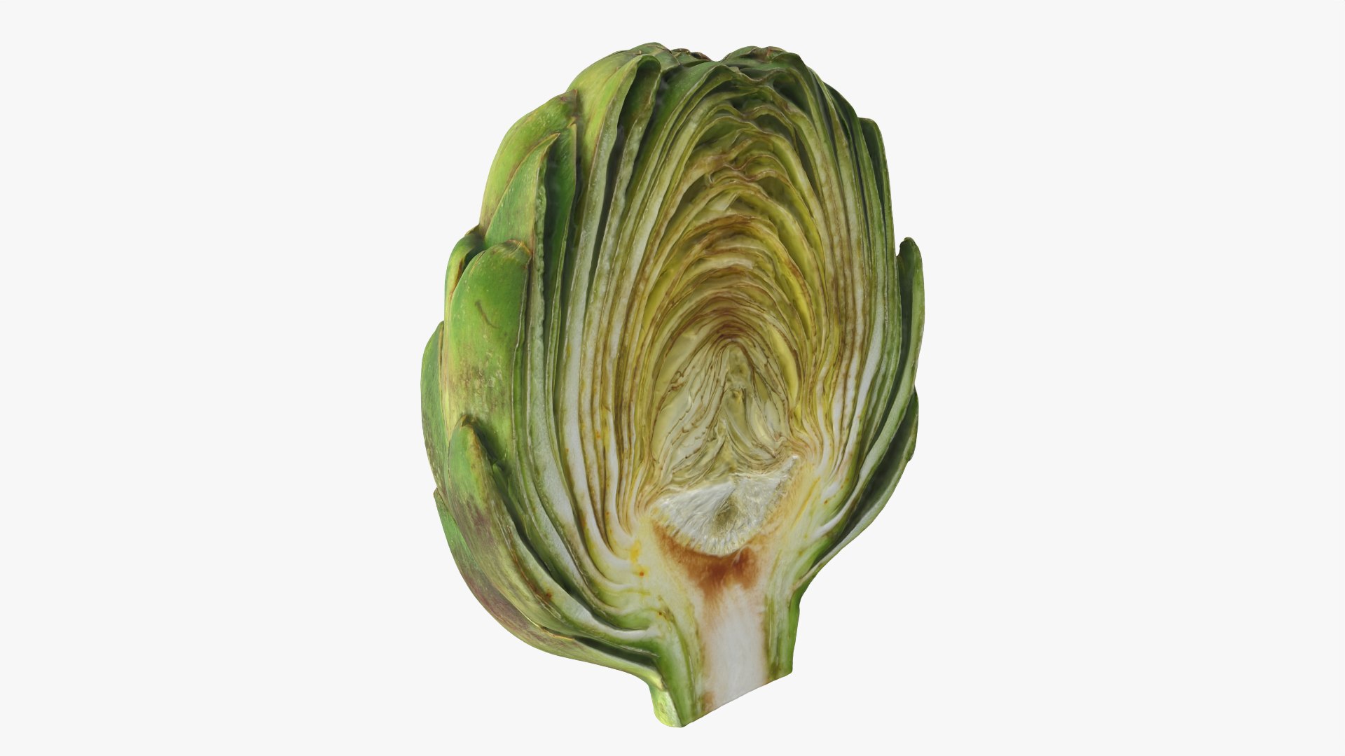 Artichoke Collection 3D model https://p.turbosquid.com/ts-thumb/2o/j9Db4S/5O/artichokehalf_0001/png/1761114680/1920x1080/fit_q87/225d3c20adbd49cbb651798ad8d7c182ff624666/artichokehalf_0001.jpg