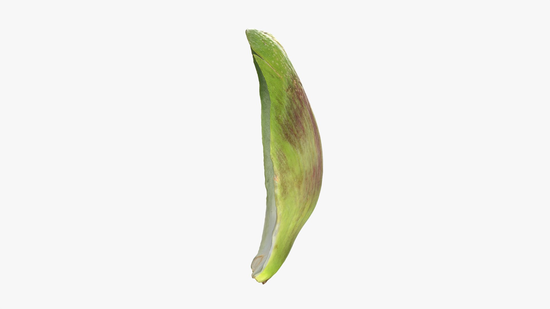 Artichoke Collection 3D model https://p.turbosquid.com/ts-thumb/2o/j9Db4S/AA/artichokeleaf02_0006/png/1761114779/1920x1080/fit_q87/a0eb6dd1a7a57430bf67fdd55309196f72eafea6/artichokeleaf02_0006.jpg