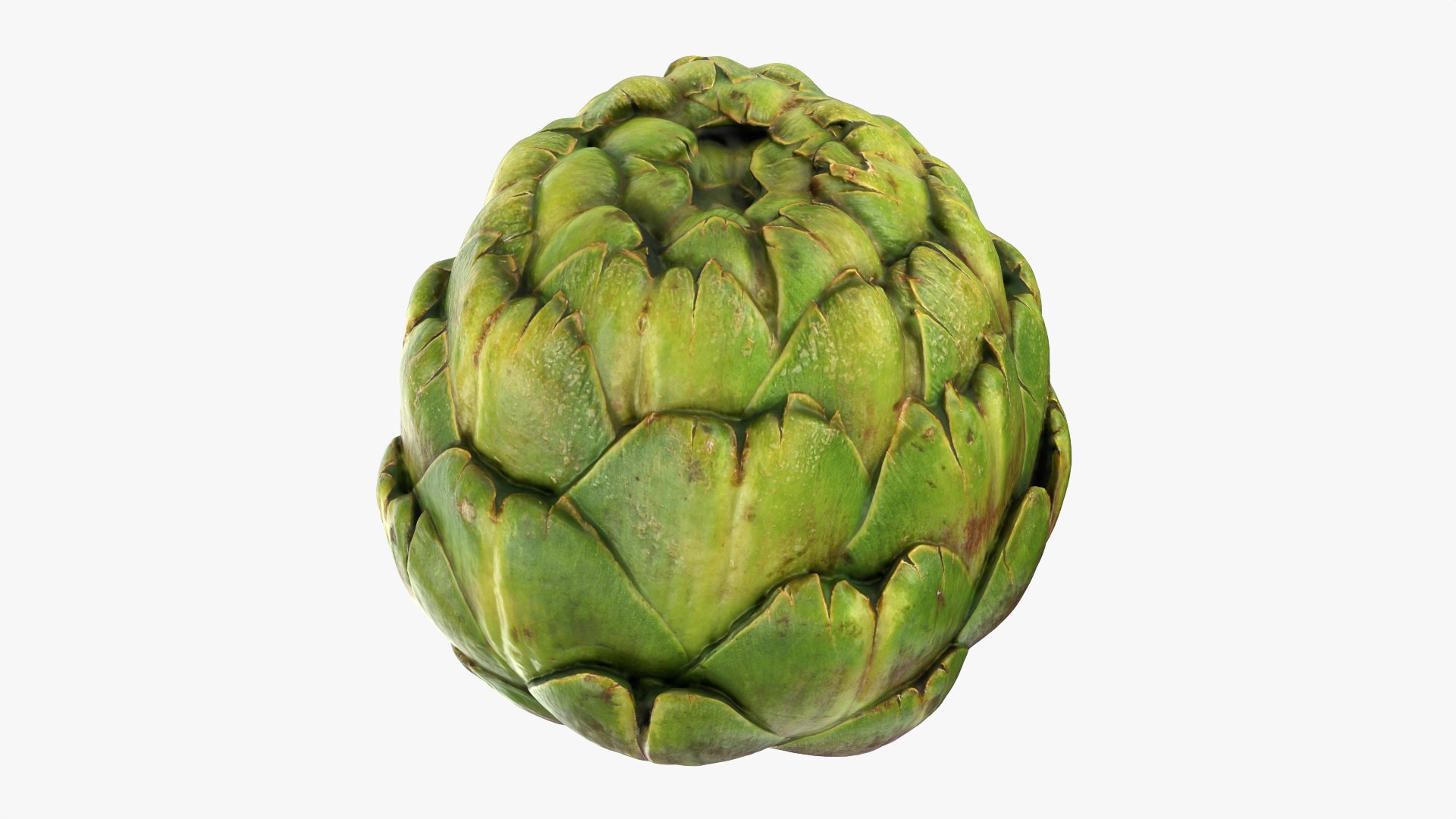 Artichoke Collection 3D model https://p.turbosquid.com/ts-thumb/2o/j9Db4S/Gc/artichoke_0003/png/1761114609/1920x1080/fit_q87/69524f41a71613b97b4e6f167d2160b55f72f934/artichoke_0003.jpg