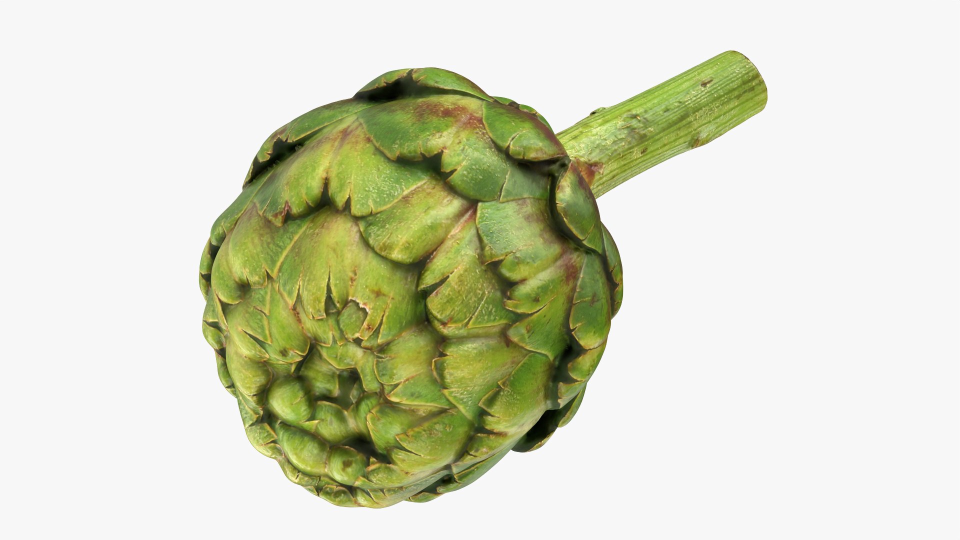 Artichoke Collection 3D model https://p.turbosquid.com/ts-thumb/2o/j9Db4S/Mm/artichokestem_0012/png/1761114655/1920x1080/fit_q87/4a97e722ec0f8def2a069336d72e051b81780a1e/artichokestem_0012.jpg