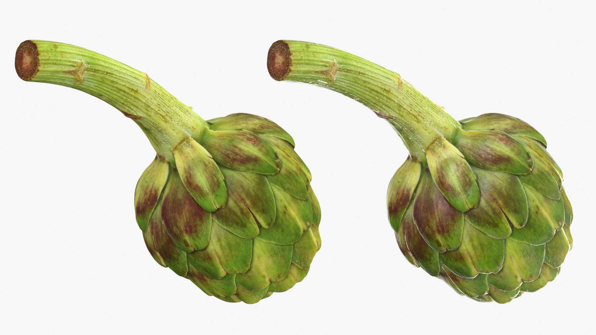 Artichoke Collection 3D model https://p.turbosquid.com/ts-thumb/2o/j9Db4S/Qr/artichokestem_0001b/png/1761114652/1920x1080/fit_q87/54176e4049cac872a411a5f725bb64b206aac9b7/artichokestem_0001b.jpg