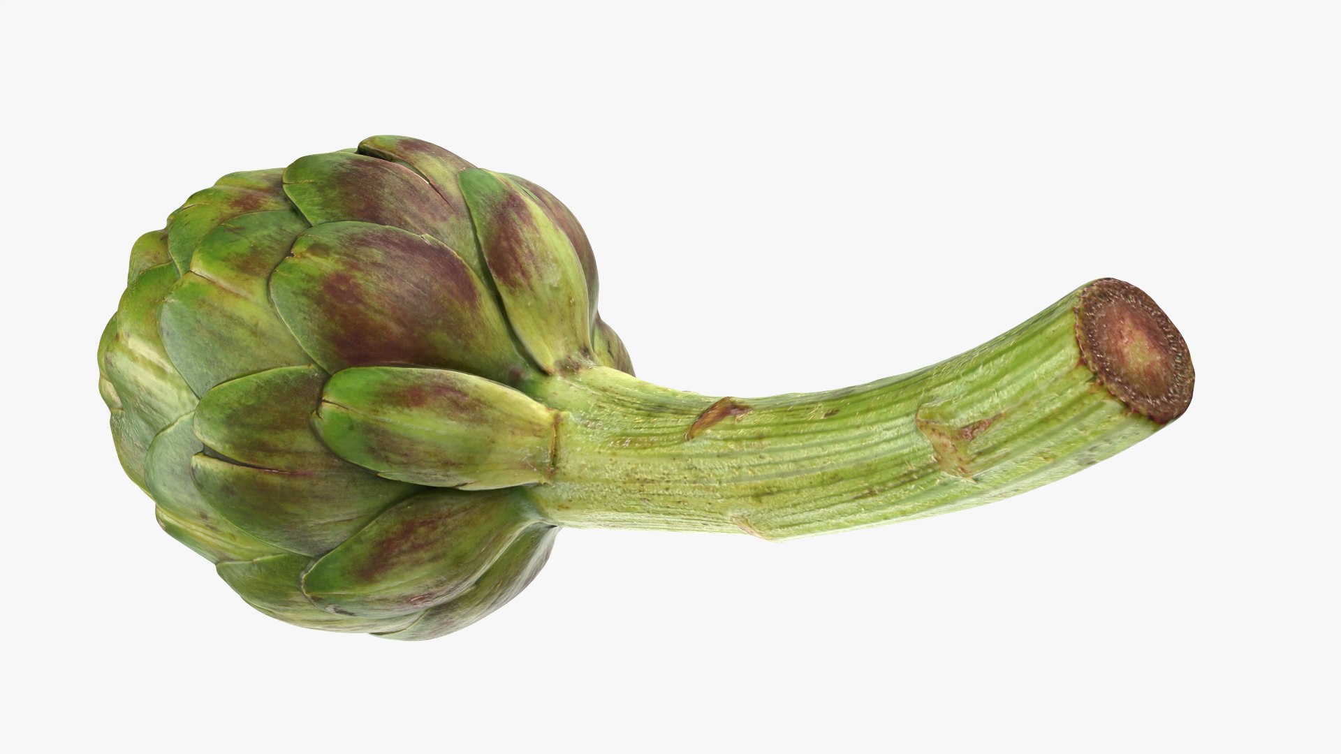 Artichoke Collection 3D model https://p.turbosquid.com/ts-thumb/2o/j9Db4S/YP/artichokestem_0002/png/1761114659/1920x1080/fit_q87/bba95f57c575a0405e94690a8950c2d190c0e128/artichokestem_0002.jpg