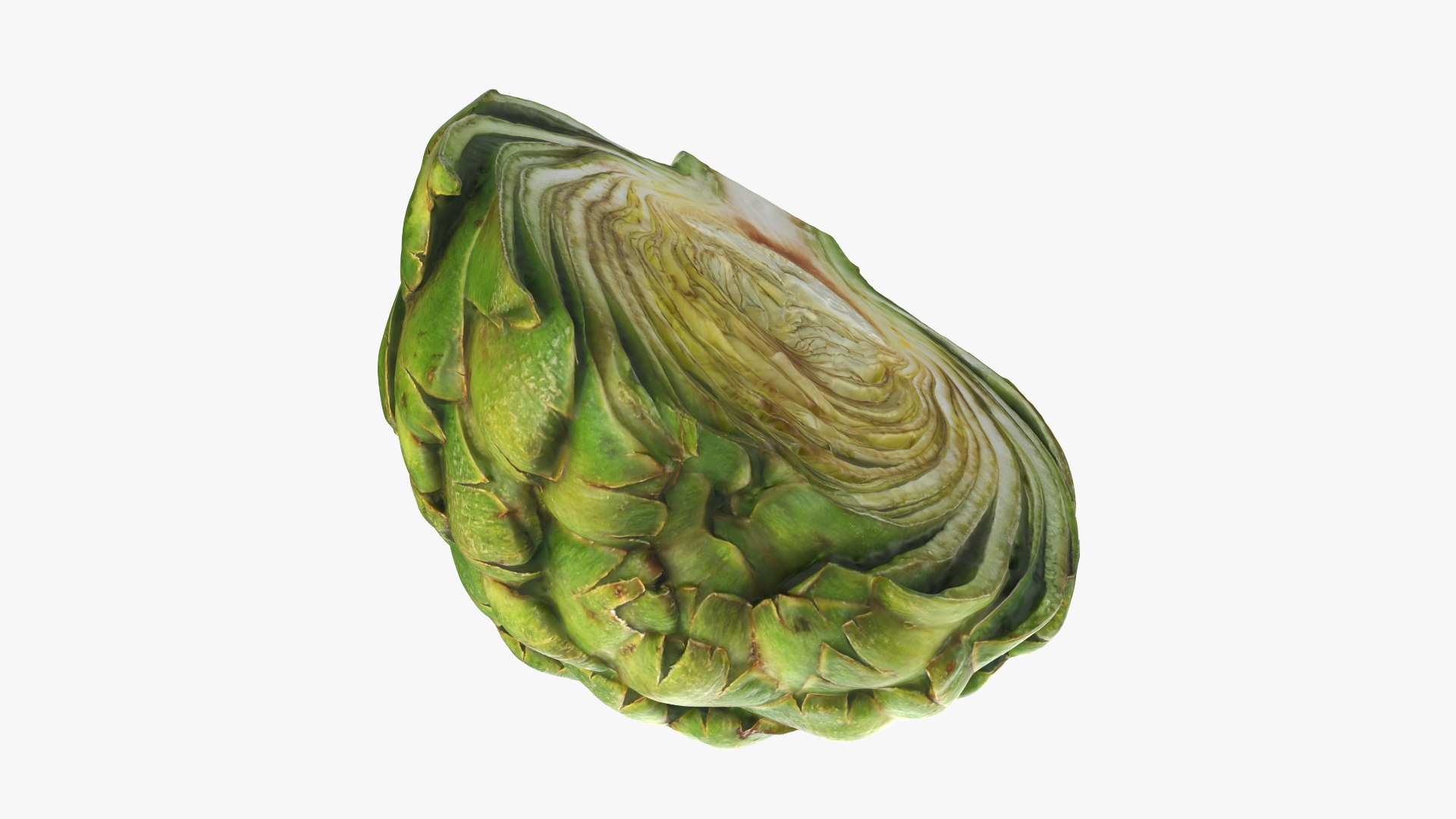 Artichoke Collection 3D model https://p.turbosquid.com/ts-thumb/2o/j9Db4S/b0/artichokehalf_0005/png/1761114683/1920x1080/fit_q87/b4c6bf4a37e0f7f01a6413735f7343dbcdbbf1e1/artichokehalf_0005.jpg