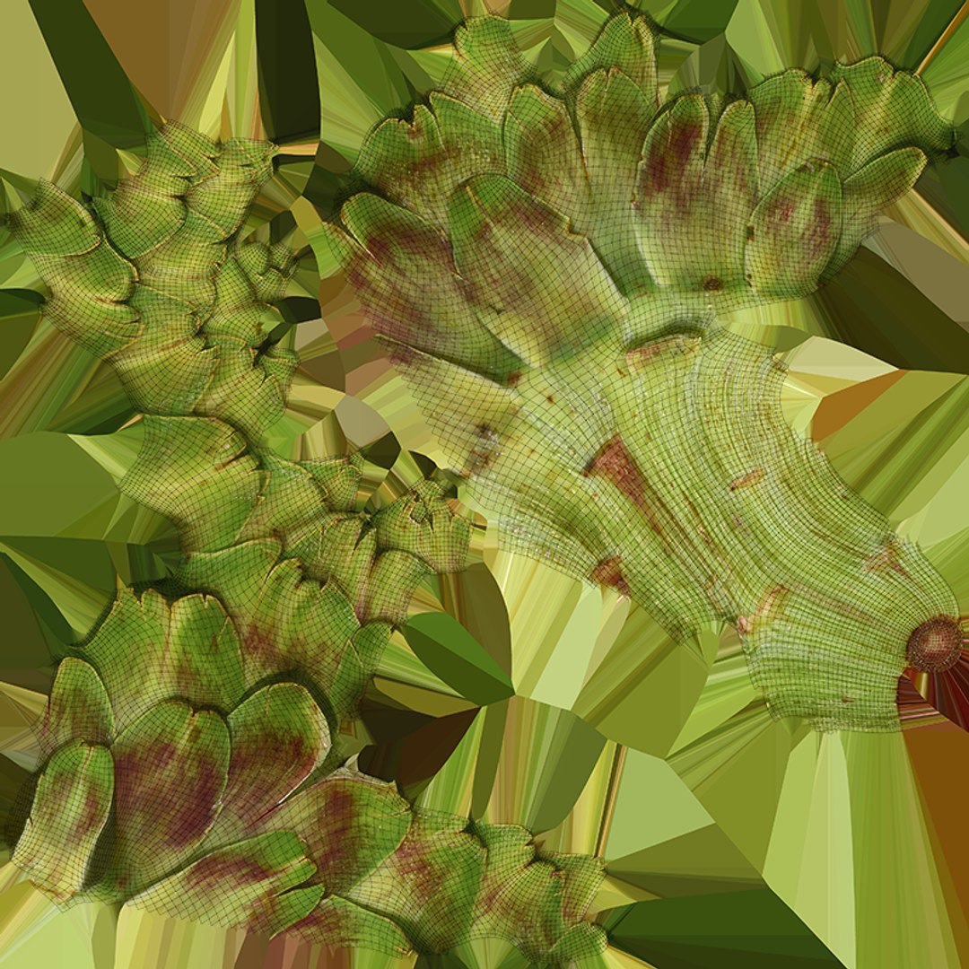 Artichoke Collection 3D model https://p.turbosquid.com/ts-thumb/2o/j9Db4S/kH/artichokestem_c0004/png/1761114654/1920x1080/fit_q87/e8e6dc4496d63a82222cffbd4dd8536fdaee27e1/artichokestem_c0004.jpg