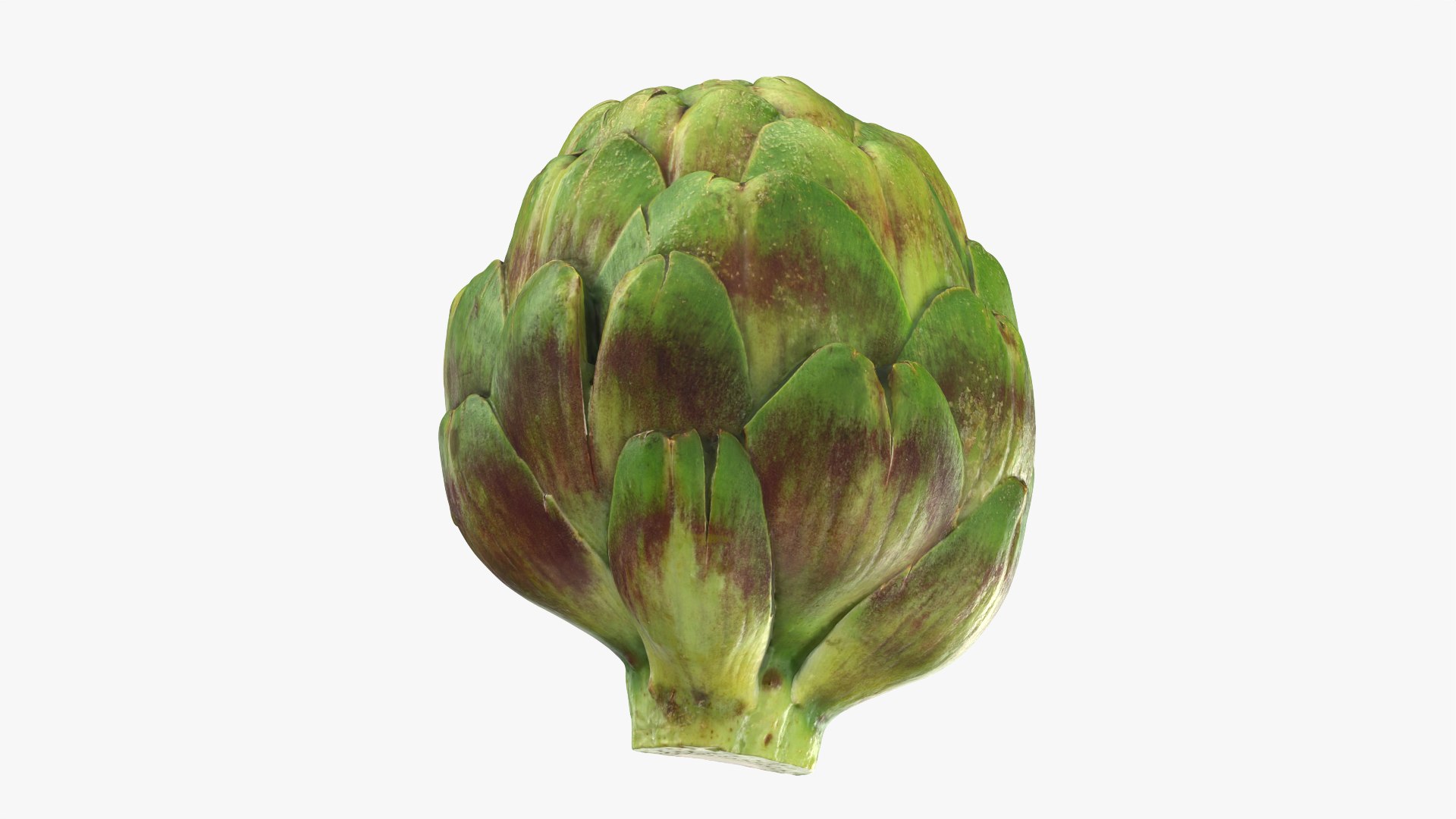 Artichoke Collection 3D model https://p.turbosquid.com/ts-thumb/2o/j9Db4S/rw/artichokehalf_0004/png/1761114683/1920x1080/fit_q87/baf21654432a815d7774671bbb2f0bedccbf3b48/artichokehalf_0004.jpg