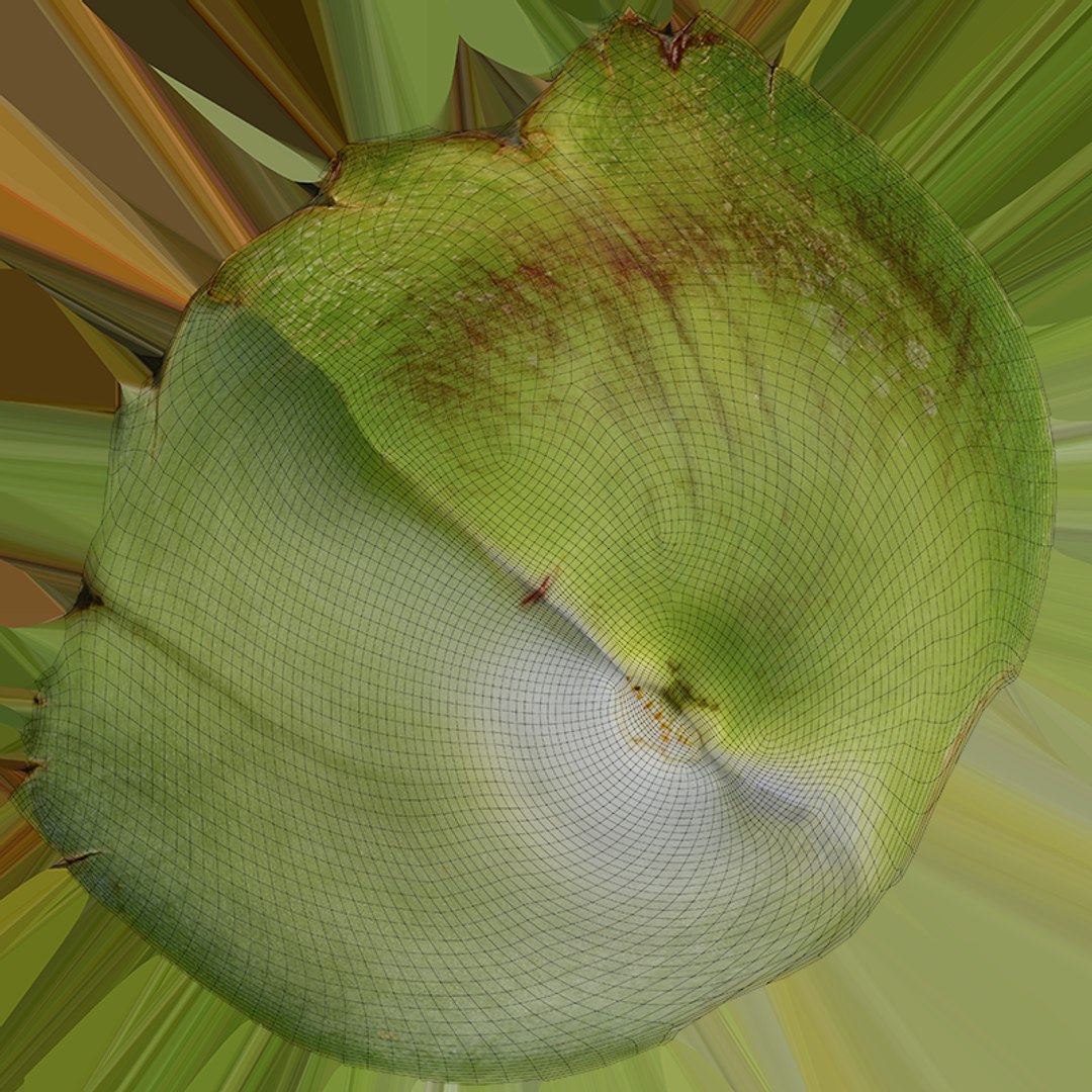 Artichoke Collection 3D model https://p.turbosquid.com/ts-thumb/2o/j9Db4S/uw/artichokeleaf01_c0004/png/1761114747/1920x1080/fit_q87/6df5e0b7ca5fe3f8791f7e1174f2bd817ba120bf/artichokeleaf01_c0004.jpg