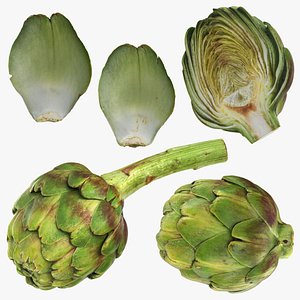 Artichoke Collection 3D model