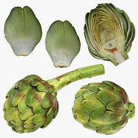 Artichoke Collection