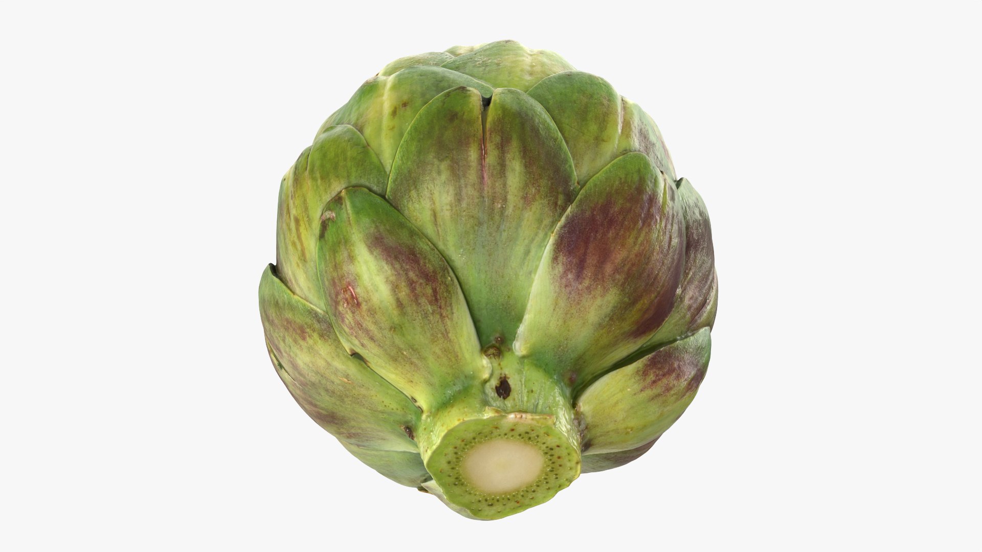Artichoke Collection 3D model https://p.turbosquid.com/ts-thumb/2o/j9Db4S/z1/artichoke_0010/png/1761114611/1920x1080/fit_q87/f3d06f3a27f810a46aed73fddf4f805fe7d8ab41/artichoke_0010.jpg