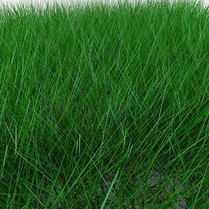 Low poly grass high quality
