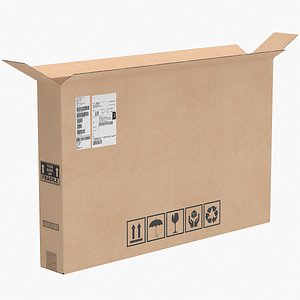 Cardboard Box 7 Open