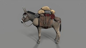3D model donkey