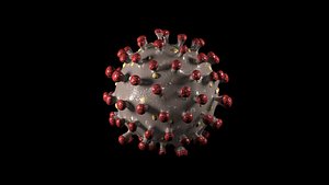 3D coronavirus virus