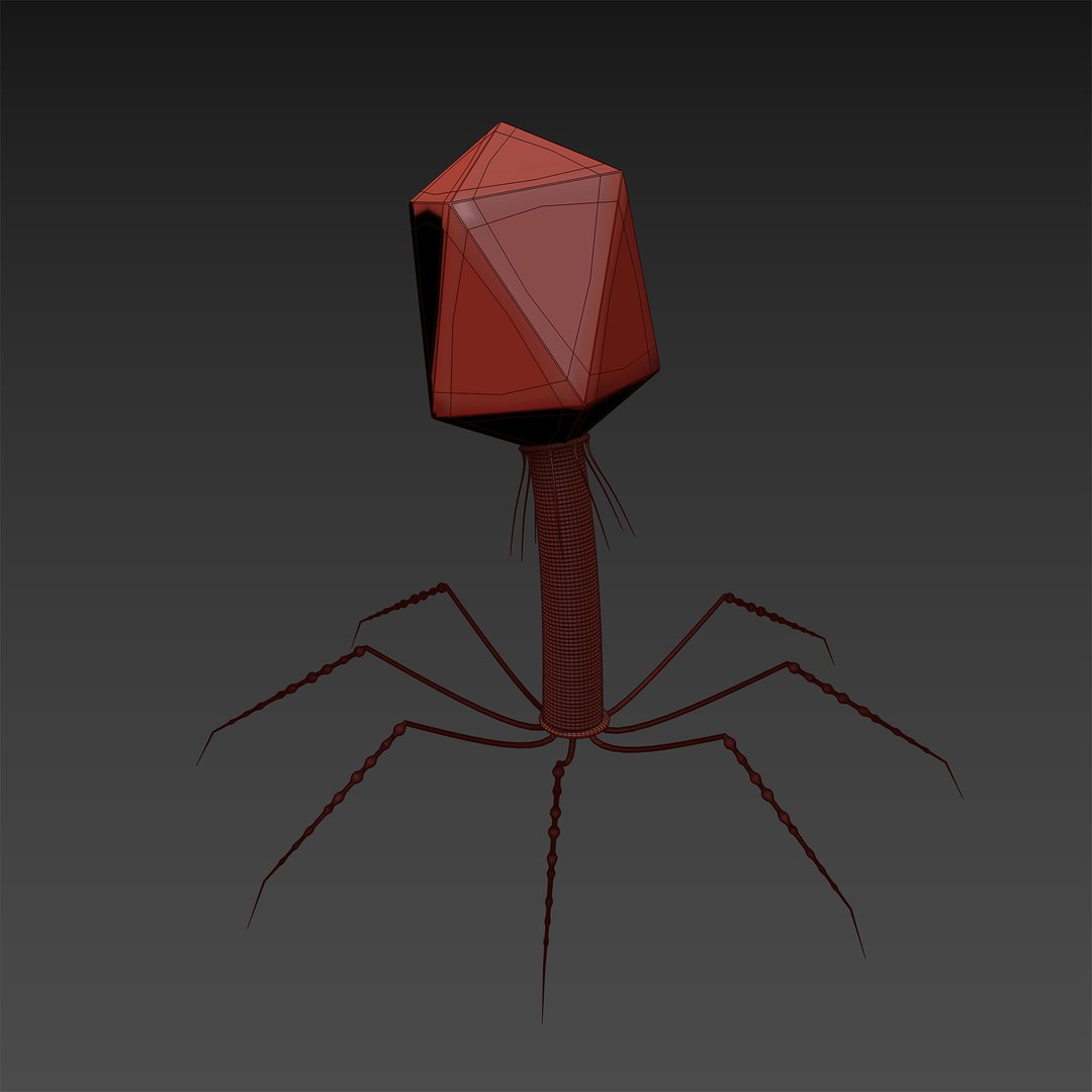 microbes bacteria cells 3D https://p.turbosquid.com/ts-thumb/2p/Eqs42I/BfHgyMqW/t4bacteriophage_04/jpg/1601894083/1920x1080/fit_q87/70cc9773ca2c88ef569b45cf222f74b1a426b8c4/t4bacteriophage_04.jpg