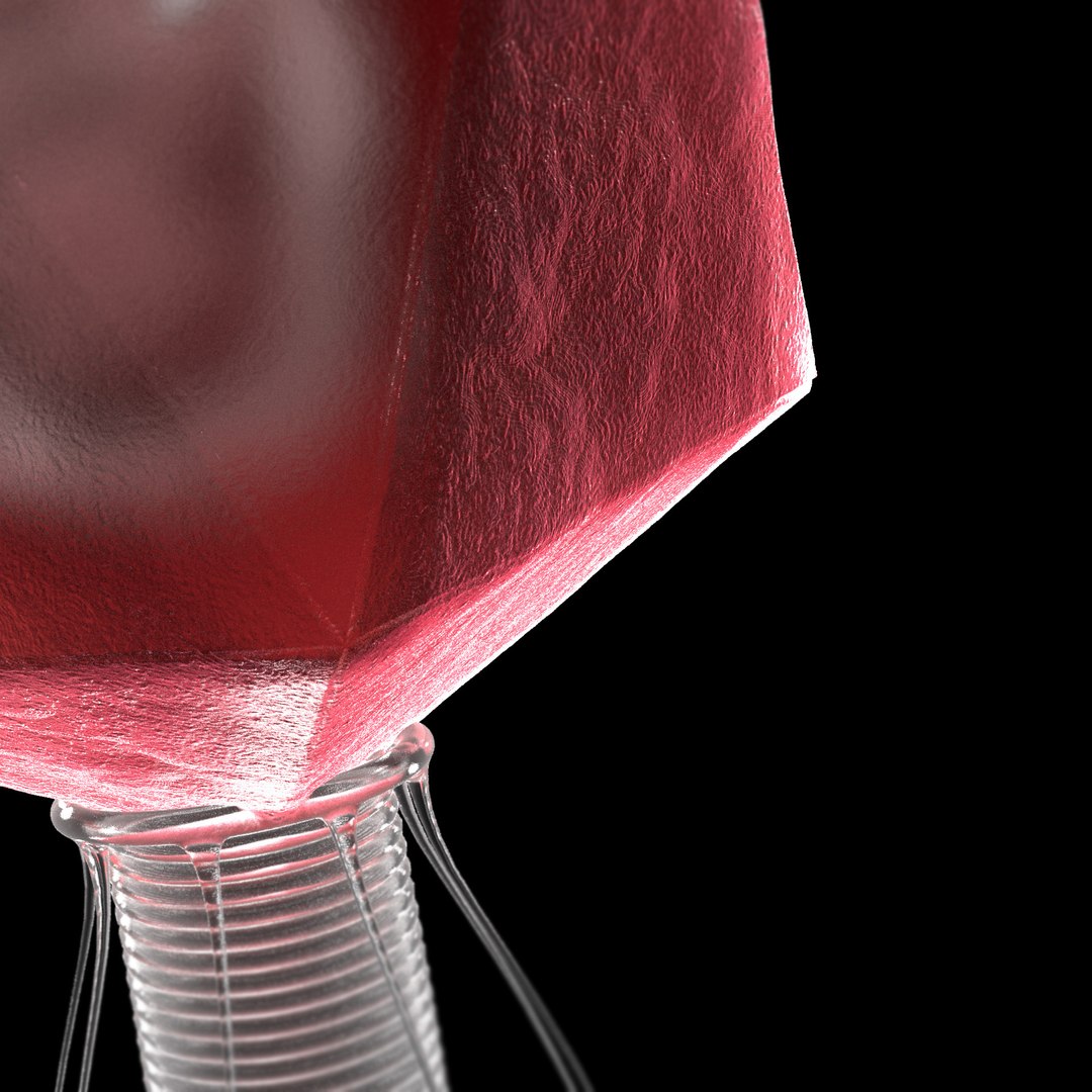 microbes bacteria cells 3D https://p.turbosquid.com/ts-thumb/2p/Eqs42I/aXHaVO9r/t4bacteriophage_03/jpg/1601894084/1920x1080/fit_q87/5403171cba37ad9a9591a073be180a56f162e237/t4bacteriophage_03.jpg