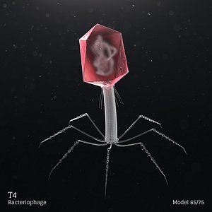 microbes bacteria cells 3D