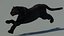 Animated Black Panther with Fur 3D Model model