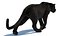 Animated Black Panther with Fur 3D Model model