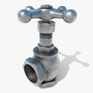 Angled globe valve 3D