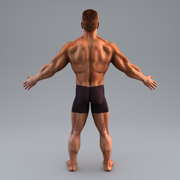 3d bodybuilder character man