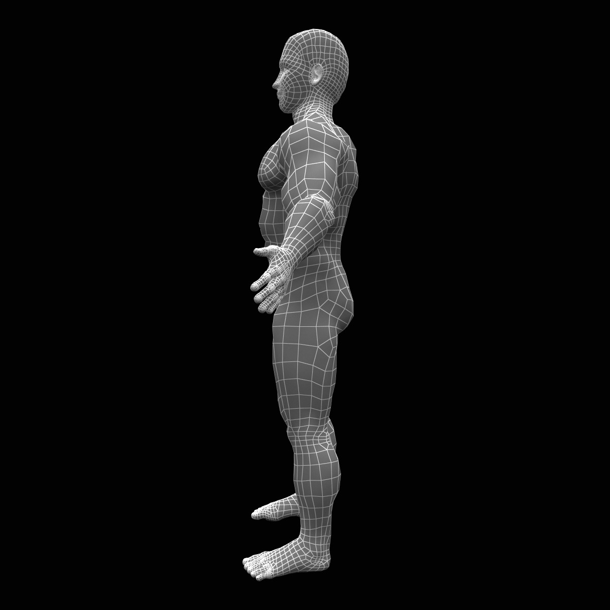 3d bodybuilder character man