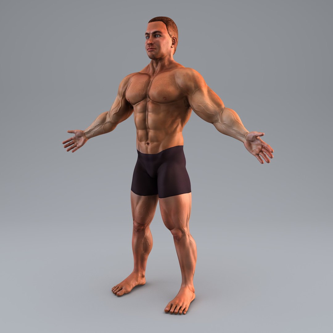 3d bodybuilder character man