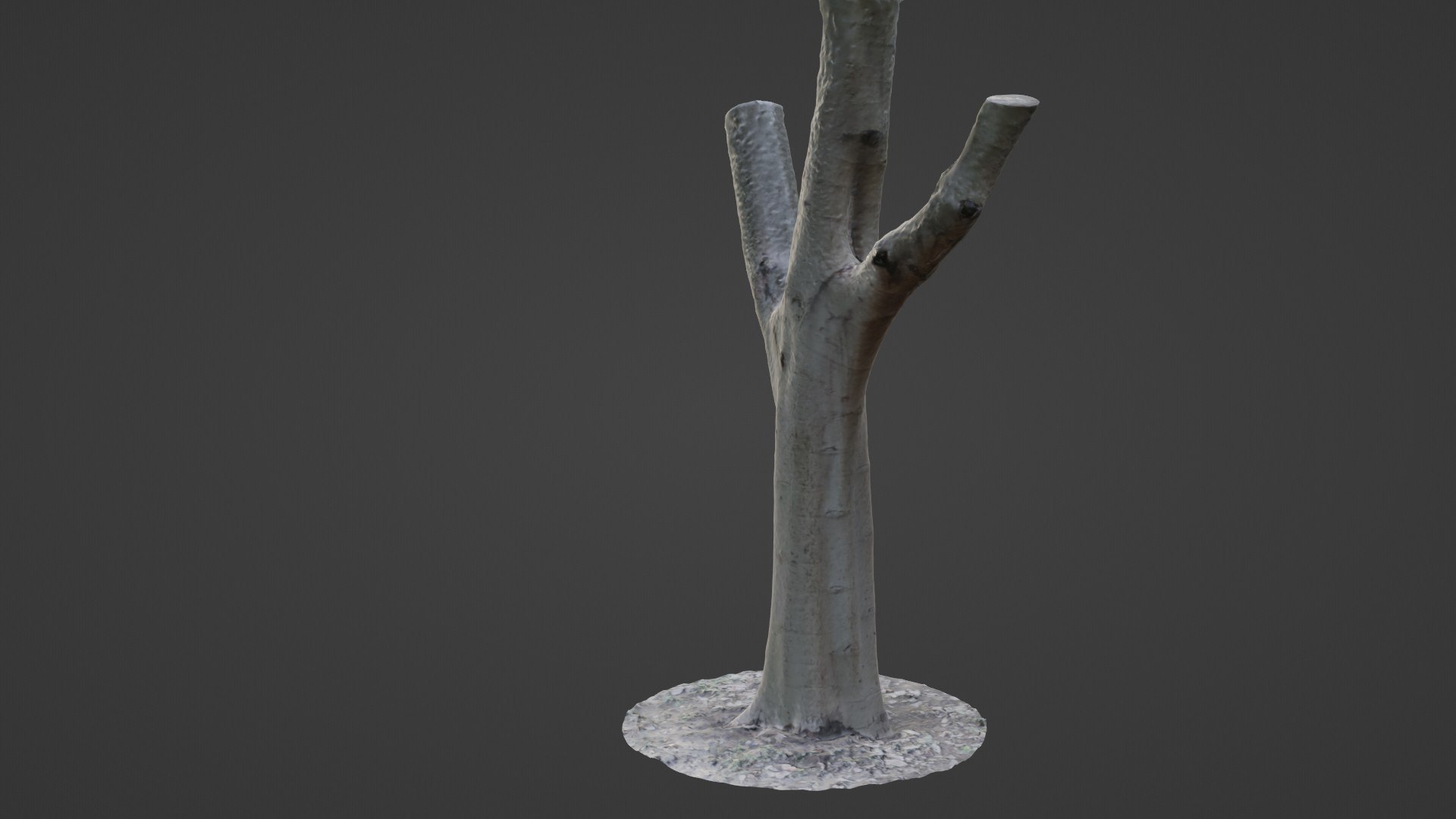 Tree Trunk Split Scan 3D Model - TurboSquid 2329904