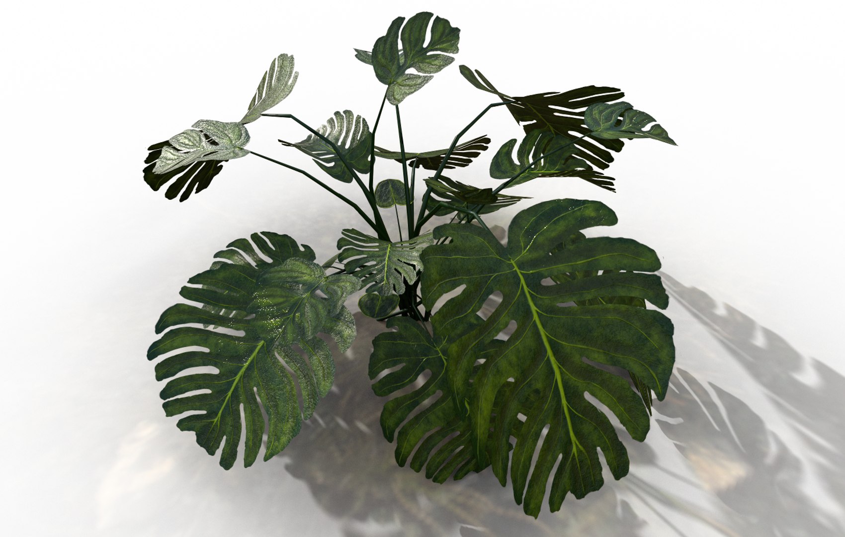 3D plant https://p.turbosquid.com/ts-thumb/2p/cFqogS/1oB9pfhF/plant_01/png/1592329646/1920x1080/fit_q87/ec2195a115cb6a2831c1e8bc1f7753f45971a956/plant_01.jpg