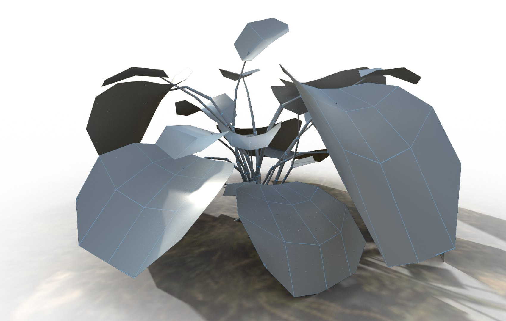 3D plant https://p.turbosquid.com/ts-thumb/2p/cFqogS/FRjY3pGJ/plantwireframe/png/1592476408/1920x1080/fit_q87/cc2d9681b7daa103631798ab42138fe04693a7cb/plantwireframe.jpg