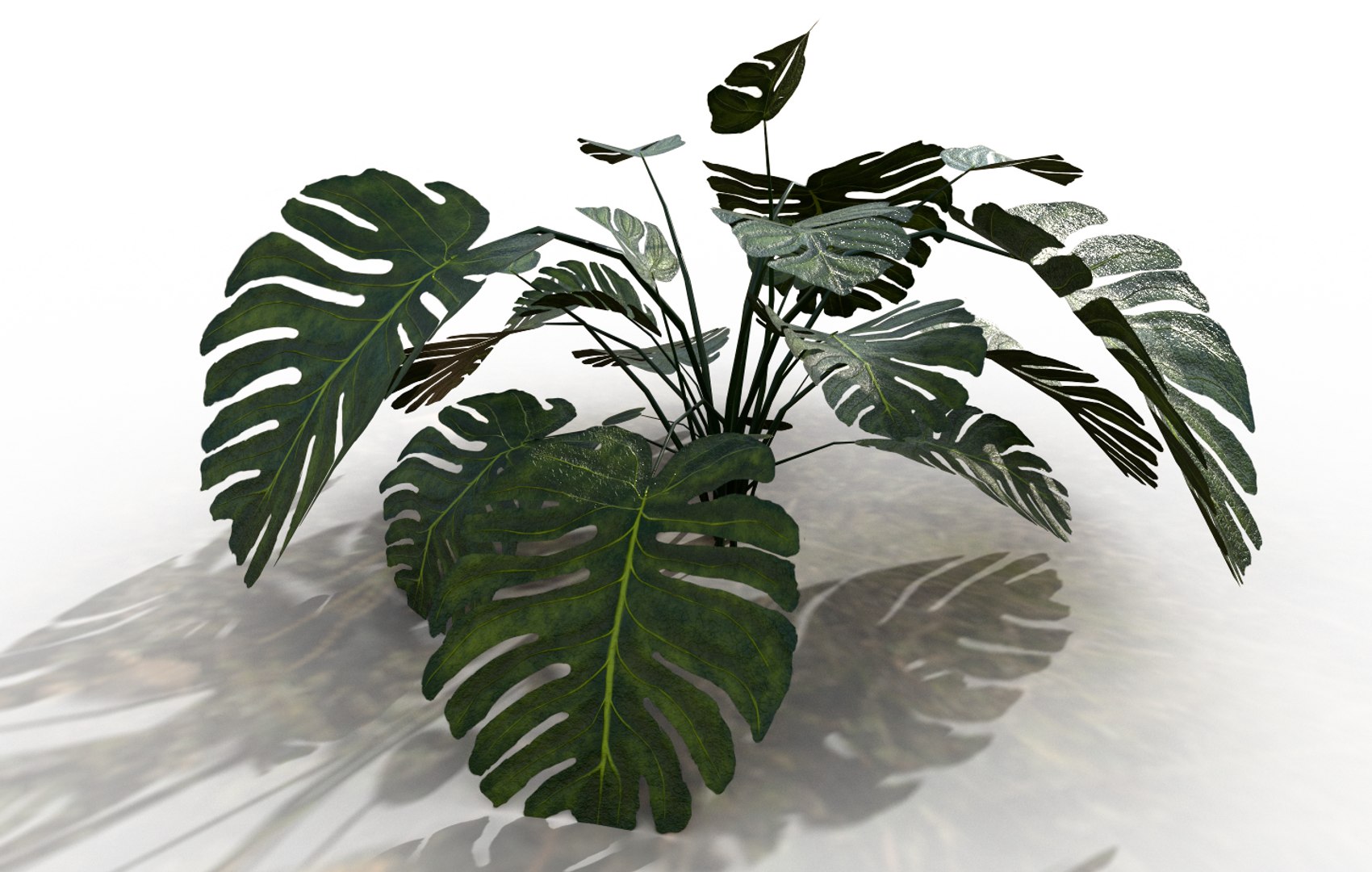 3D plant https://p.turbosquid.com/ts-thumb/2p/cFqogS/TQbR7igd/plant_02/png/1592329723/1920x1080/fit_q87/422ad9a14018091f8ae28fedc4b42f94577149d3/plant_02.jpg