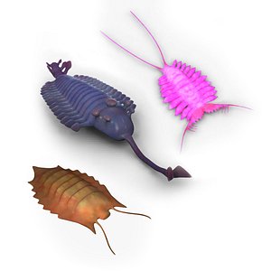 Cambrian Animals - Rigged and textured Animals