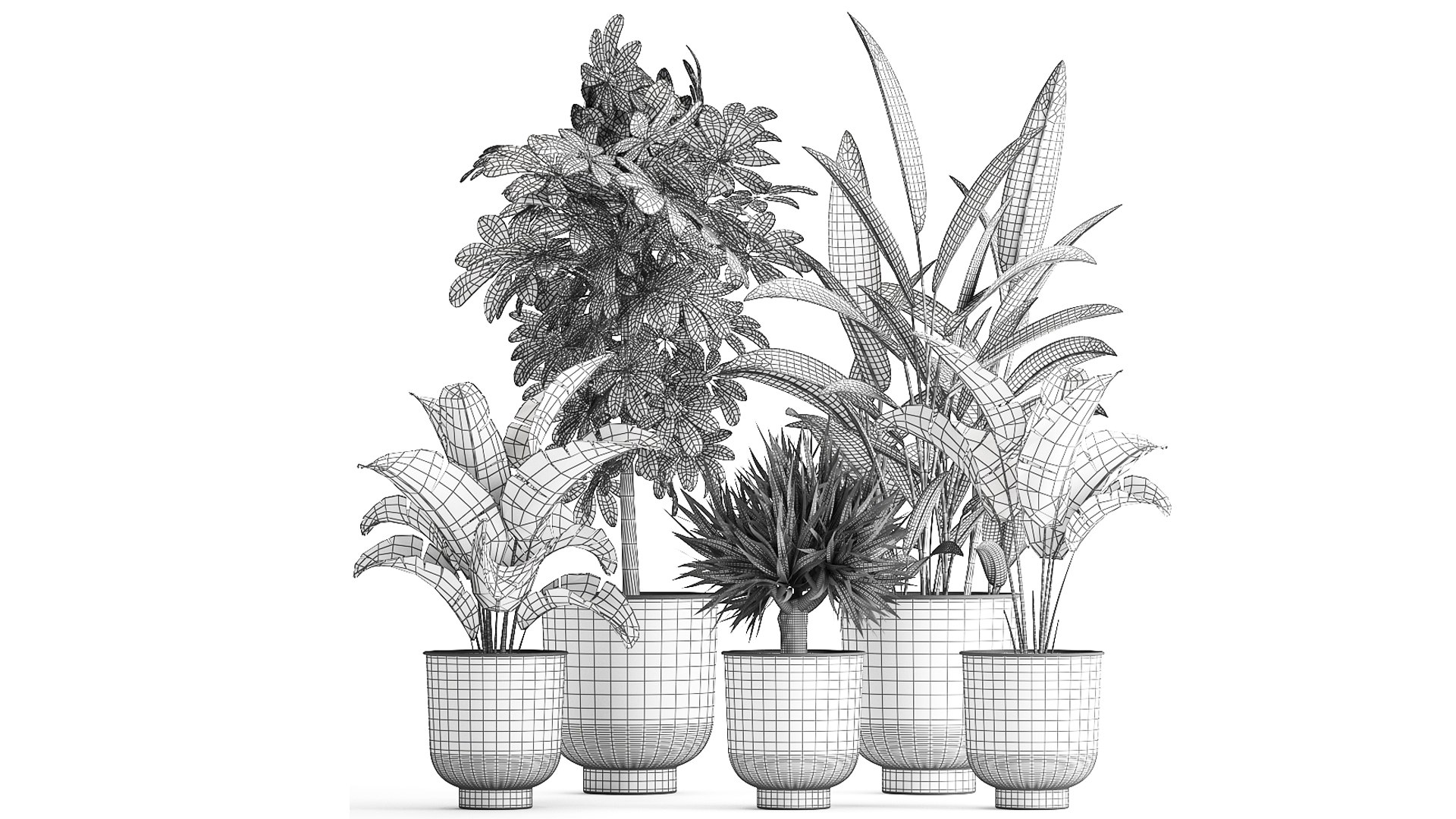 Plants Interior Pots Planter Model - TurboSquid 1696798