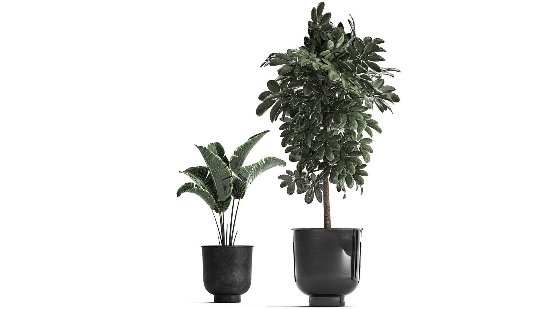 Plants Interior Pots Planter Model - TurboSquid 1696798