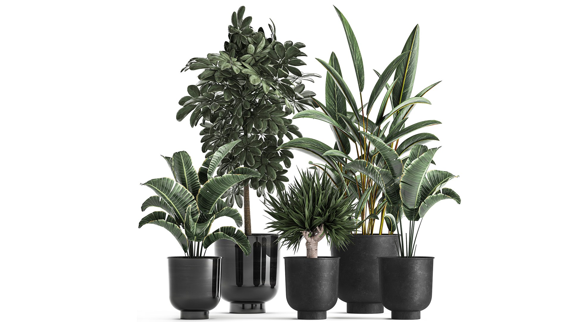 Plants Interior Pots Planter Model - TurboSquid 1696798