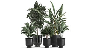 plants interior pots planter model
