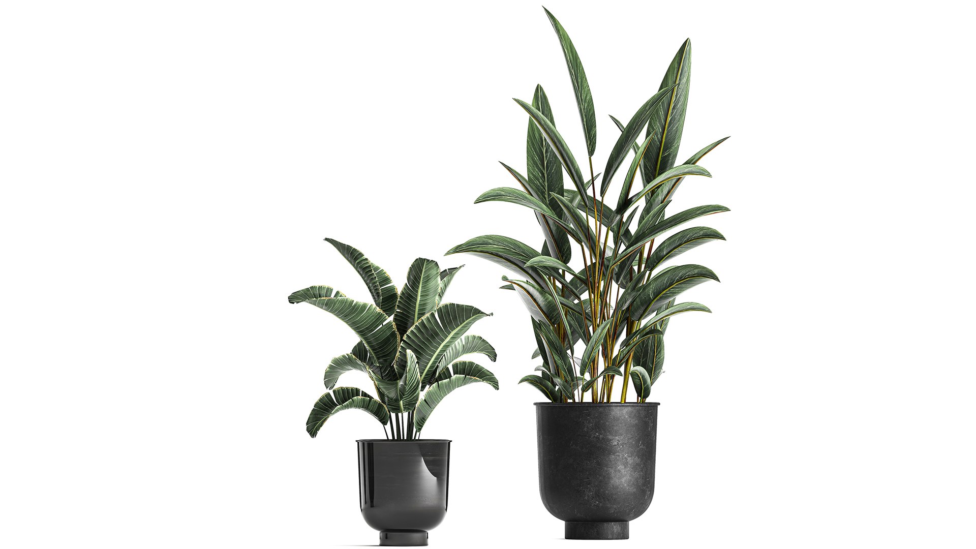 Plants Interior Pots Planter Model - TurboSquid 1696798