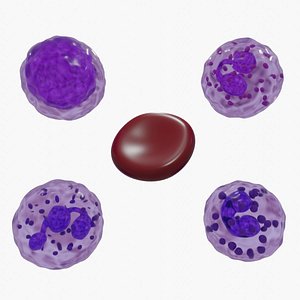 Blood cells 3D model