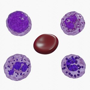 Blood cells