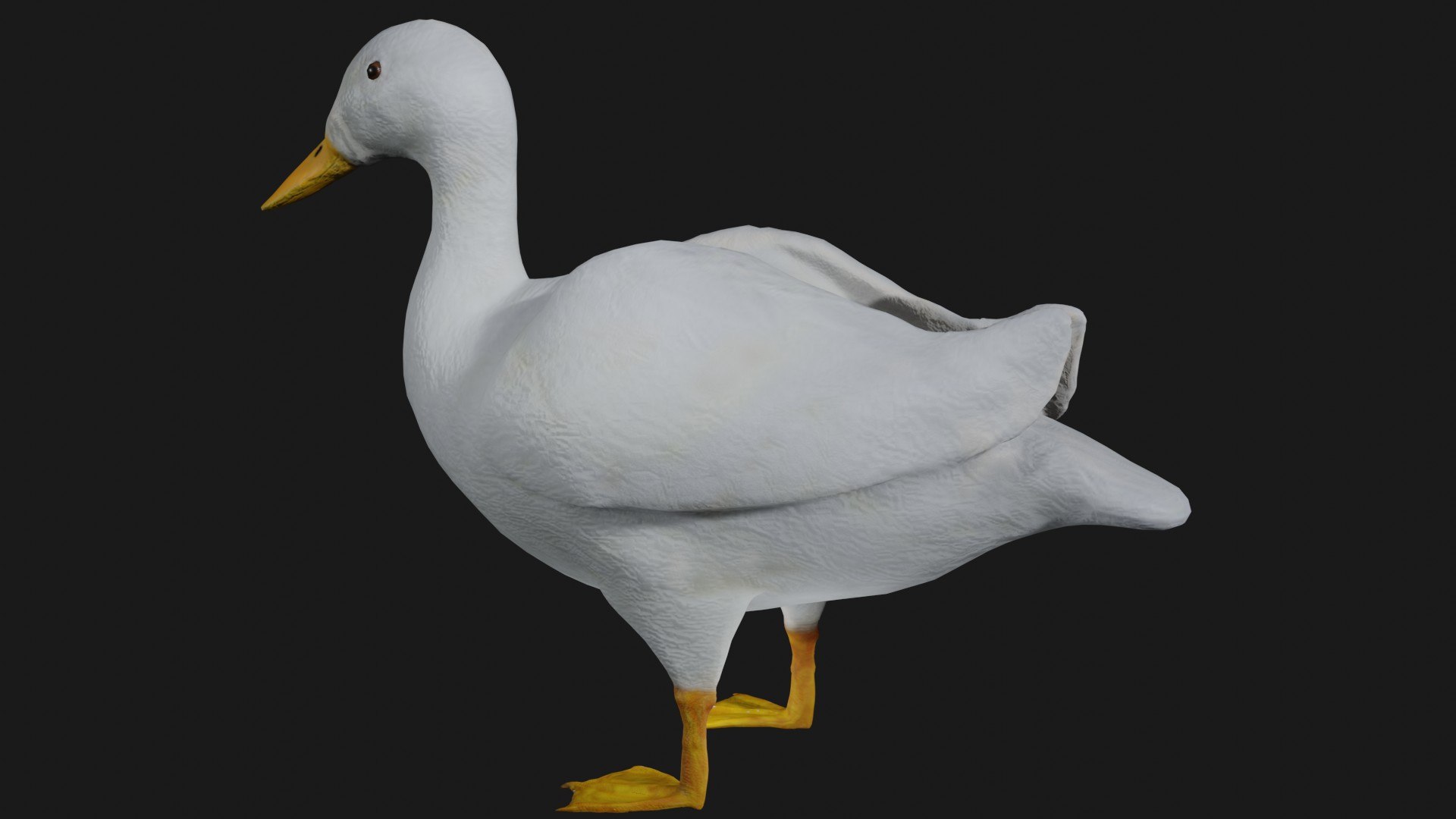 3D Duck Rigged White Mallard - TurboSquid 1657259